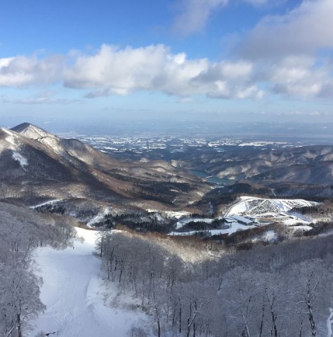 新年のご挨拶