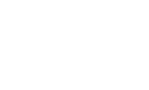 logo白